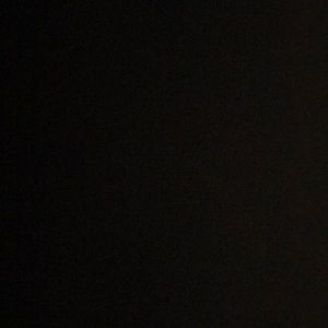 Meet your Posher, Delaney